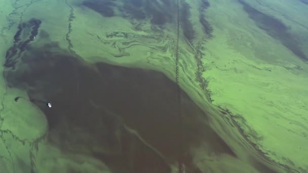 飞越绿河 俯瞰布满绿藻的河流 孤零零的渔民在绿河里钓鱼 — 图库视频影像