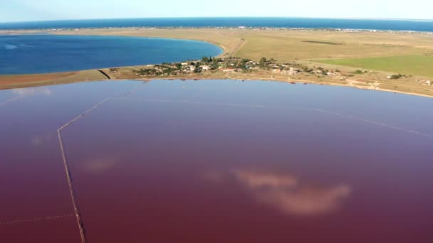 Belle Vue Sur Lac Salé Rose Beau Coucher Soleil Rose — Video