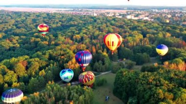 Çok renkli balonlar ağaçların üzerinde uçar. Parkın manzarası güzel, orman yeşilliklerle kaplı. Arka planda küçük evler.