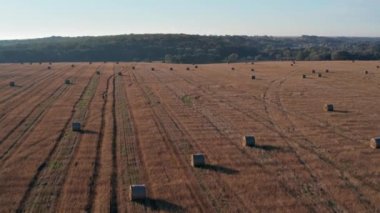 Samanlıkların üzerinde güzel bir sabah uçuşu. Tarla samanla kaplı..