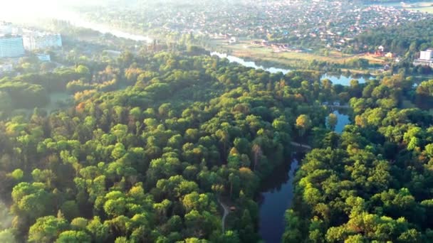 Ładny Widok Park Las Pokryty Zielenią Poranna Rzeka Mgle Małe — Wideo stockowe