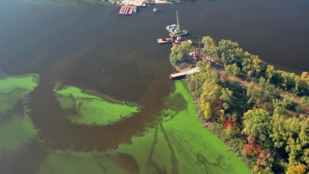 Flying Green River Top View River Covered Green Algae Lonely — Vídeo de Stock