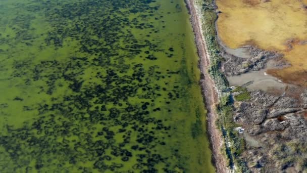 Schöner Flug Sommer Über Salzseen Trockene Seen Grünes Gras — Stockvideo