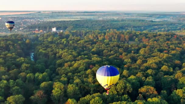 Kolorowe Balony Przelatują Nad Drzewami Ładny Widok Park Las Pokryty — Wideo stockowe