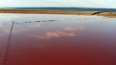 Tuzlu, pembe gölün güzel üst manzarası. Güzel pembe gün batımı.