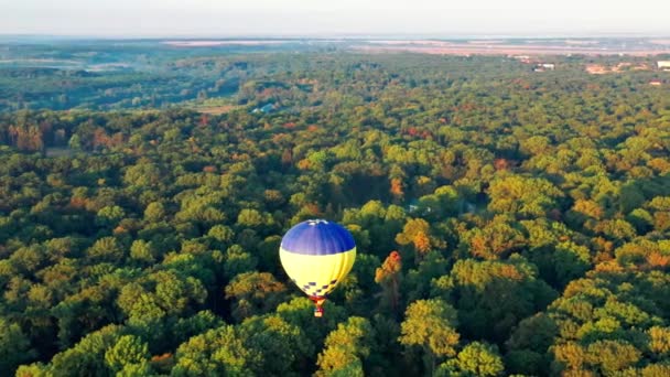 Veelkleurige Ballonnen Vliegen Bomen Mooi Uitzicht Het Park Bos Bedekt — Stockvideo