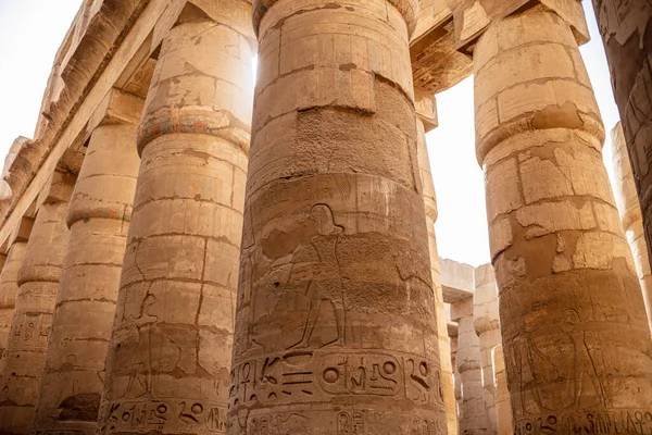 Different Columns Hieroglyphs Karnak Temple Karnak Temple Largest Complex Ancient — стоковое фото