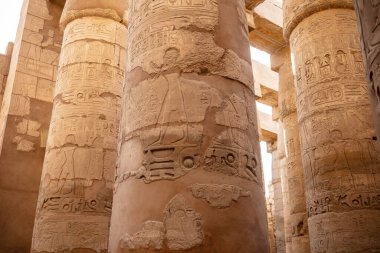 Karnak tapınağında hiyeroglifli farklı sütunlar. Karnak tapınağı eski Mısır 'daki en büyük kompleks..