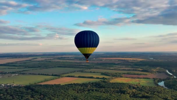 Kolorowe Balony Przelatują Nad Drzewami Ładny Widok Park Las Porośnięty — Wideo stockowe