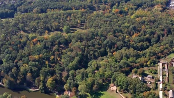 Schöner Flug Über Den Bäumen Herbstwald Gelbe Rote Grüne Blätter — Stockvideo