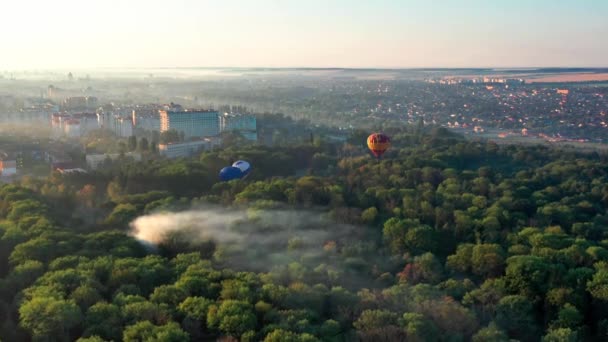 Kolorowe Balony Przelatują Nad Drzewami Ładny Widok Park Las Porośnięty — Wideo stockowe