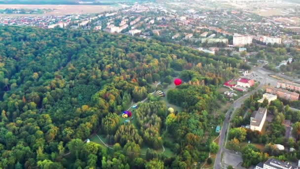 Разноцветные Шарики Летают Над Деревьями Красивый Вид Сверху Парк Лес — стоковое видео
