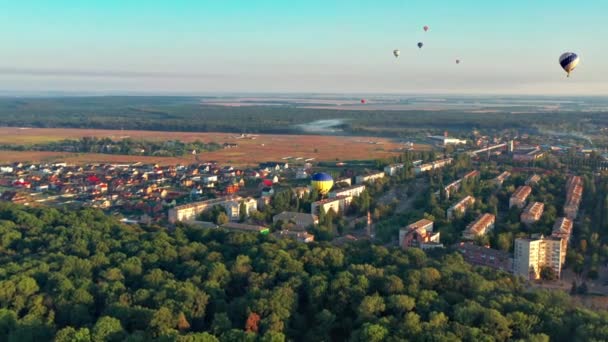 Kolorowe Balony Przelatują Nad Drzewami Ładny Widok Park Las Pokryty — Wideo stockowe