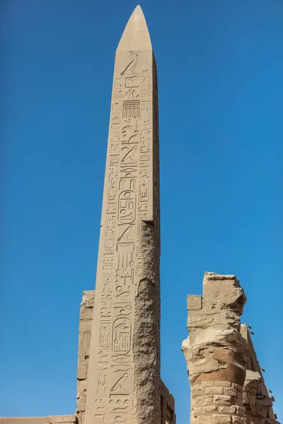 Verschillende Zuilen Met Hiërogliefen Karnak Tempel Karnak Tempel Het Grootste — Stockfoto