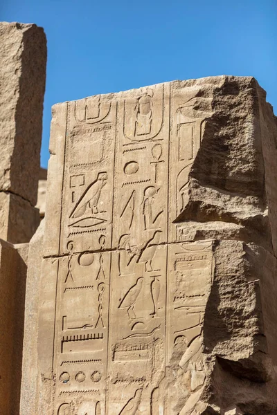 Diferentes Hieróglifos Nas Paredes Colunas Templo Karnak Templo Karnak Maior — Fotografia de Stock