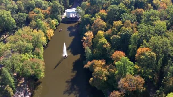Ağaçların Üzerinde Güzel Bir Uçuş Sonbahar Ormanı Ağaçlarda Sarı Kırmızı — Stok video