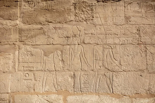 Olika Hieroglyfer Väggar Och Pelare Karnaktemplet Karnak Tempel Det Största — Stockfoto