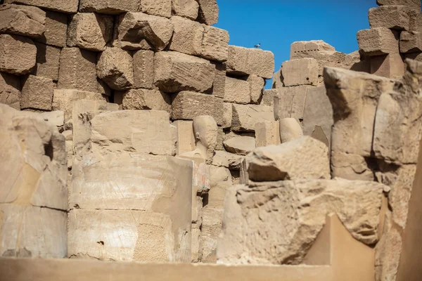 Ősi Egyiptomi Fáraók Istenek Szobrai Különböző Hieroglifák Falakon Karnak Templom — Stock Fotó