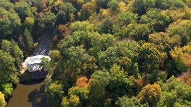 Ağaçların üzerinde güzel bir uçuş. Sonbahar ormanı. Ağaçlarda sarı, kırmızı, yeşil yapraklar