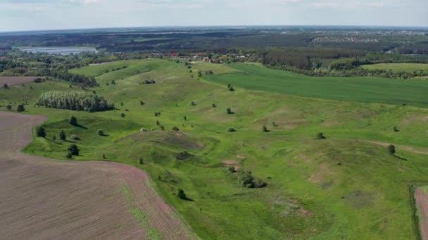 Hermoso Vuelo Primavera Quadcopter Sobre Campo Con Hierba Verde Árboles — Vídeos de Stock