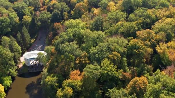 Krásný Let Nad Stromy Podzimní Les Žluté Červené Zelené Listy — Stock video