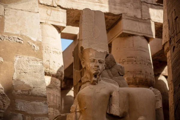 Статуи Древних Египетских Фараонов Богов Различные Иероглифы Стенах Карнакский Храм — стоковое фото