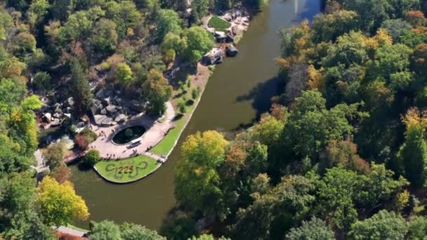 Beau Vol Dessus Des Arbres Forêt Automne Feuilles Jaunes Rouges — Video