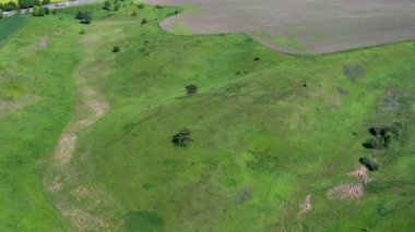 Baharda yeşil çimlerle kaplı bir tarlanın üzerinde kuadkopter üzerinde güzel bir uçuş, yeşil yapraklarla kaplı ağaçlar. Arka planda göller var. İyi uçuşlar..