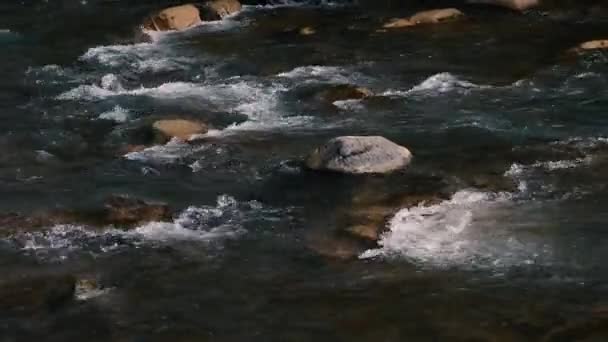 Fast Flow Water Mountain River Beautiful Mountain River Brown Stones — Stockvideo