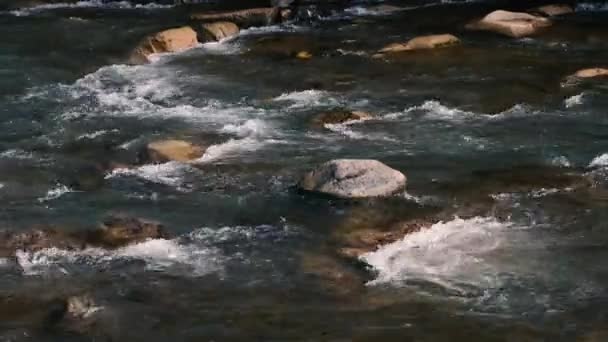 Fast Flow Water Mountain River Beautiful Mountain River Brown Stones — Video Stock