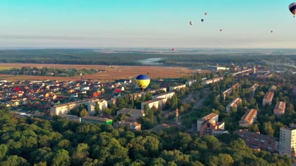 Multicolored Balloons Fly Trees Nice Top View Park Forest Covered — Stockvideo
