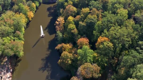 Krásný Let Nad Stromy Podzimní Les Žluté Červené Zelené Listí — Stock video