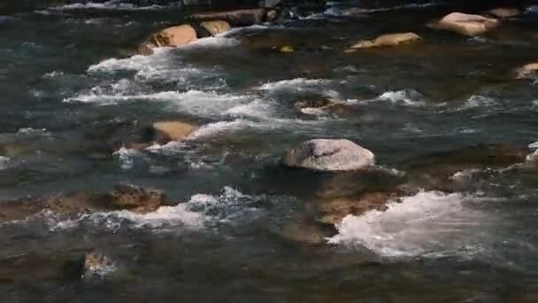 Fast Flow Water Mountain River Beautiful Mountain River Brown Stones — Stockvideo