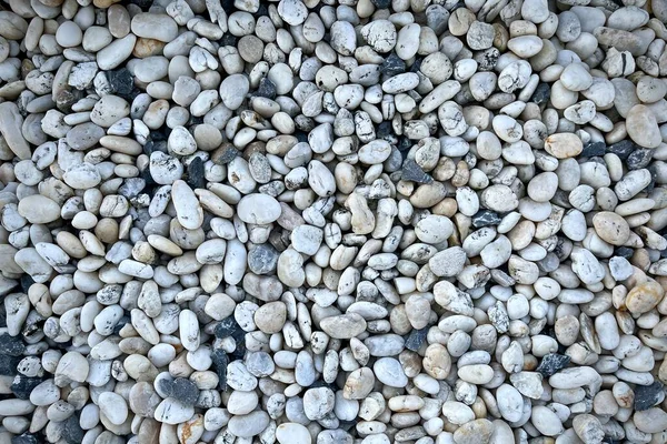 Smooth Pebbles Texture Background Pebble Sea Beach Close Dark Wet — Stock Photo, Image