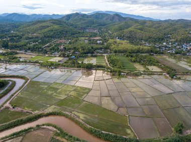 Tayland, Chiang Mai 'de hasat mevsiminde teraslı pirinç tarlası ve dağların manzarası..