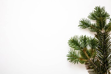 Noel tebrik kartı şablonu. Beyaz arka planda taze köknar dalı. Yeni yıl dilekleri için boş alan, kış tatili etkinliği daveti.