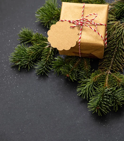 Weihnachtsgeschenk Xmas Kraftpapier Geschenkschachtel Mit Leerem Anhänger Und Frischem Tannenzweig — Stockfoto