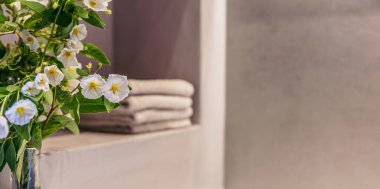 Banyo modern tasarım iç tasarım. Taze çiçek açan fabrika, bulanık arka plan, rafa istiflenmiş havlular. Boş alan, spa sağlık odası şablonu