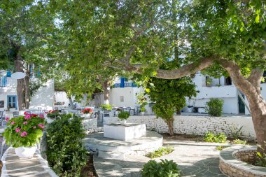 Yunanistan, Folegandros adası. Chora şehir meydanı. Ağaçlar ve saksılar yeşil süsleme. Geleneksel açık kafe bar ve taverna masaları ve sandalyeler, Cyclades.
