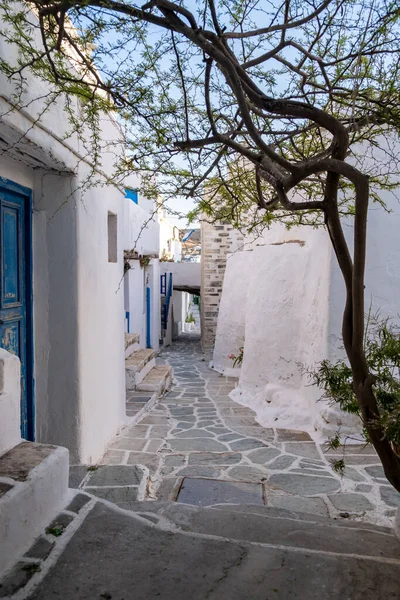 フォレガンドロス島 ギリシャ キクラデス諸島 カストロの狭い通り チョーラの古い城 白塗りの家と階段 キクラデス建築 — ストック写真