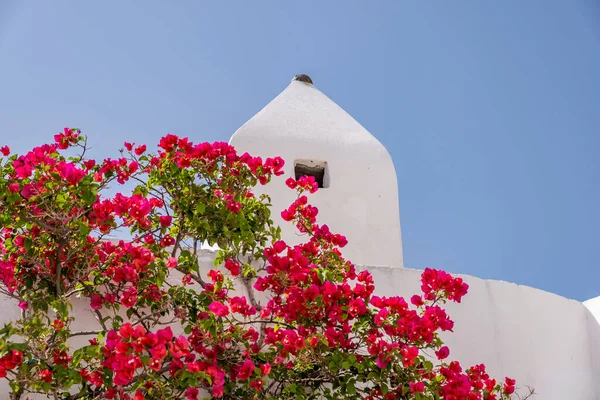 Red Bougainvillea Whitewashed Chimney Top Traditional Greek Island House Chora — Stock Photo, Image