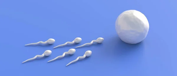 Sperma Eicel Microscoop Mannelijke Spermatozoa Verplaatsen Naar Vrouwelijke Eicel Blauwe — Stockfoto