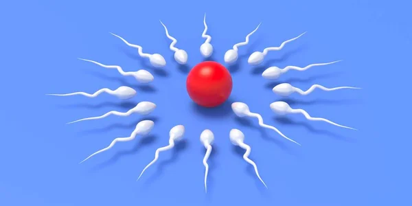 Sperm Egg Cell Microscope Male Spermatozoa Female Ovum Blue Background — Stock Photo, Image