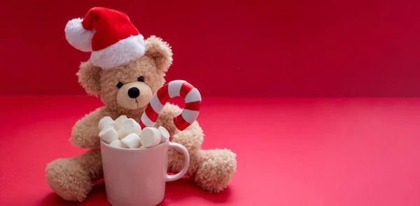 Christmas Hot Beverage Santa Teddy Chocolate Mug Marshmallows Candy Cane — Stock Photo, Image