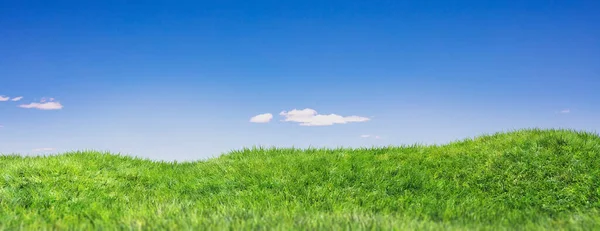 Grönt Gräs Fält Blå Himmel Med Moln Bakgrund Natur Miljö — Stockfoto