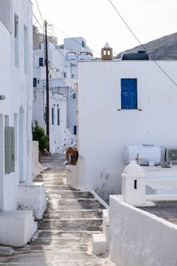 Yunanistan, Serifos adası. Geleneksel beyazlatılmış bina ve Chora kasabasındaki dar taşlı cadde. Kiklad.