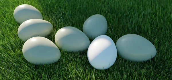 Eggs White Color Green Grass Field Close View Fresh Healthy — Stock Photo, Image