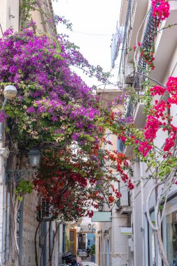 Yunanistan. Ermoupolis Syros Adası, Cyclades başkenti, Dar Sokak, geleneksel mimari ve mor bougainvillea bina dekorasyonu