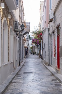 Yunanistan. Ermoupolis Syros Adası, Cyclades başkenti, Narrow Stone asfalt caddesi, geleneksel mimari ve bougainvillea fabrikası