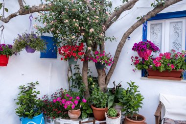 Greece. Ano Koufonisi island, Cyclades. Relaxation corner, blooming flower in ceramic pot, colourful pot hanging from tree branch next to empty armchair  clipart